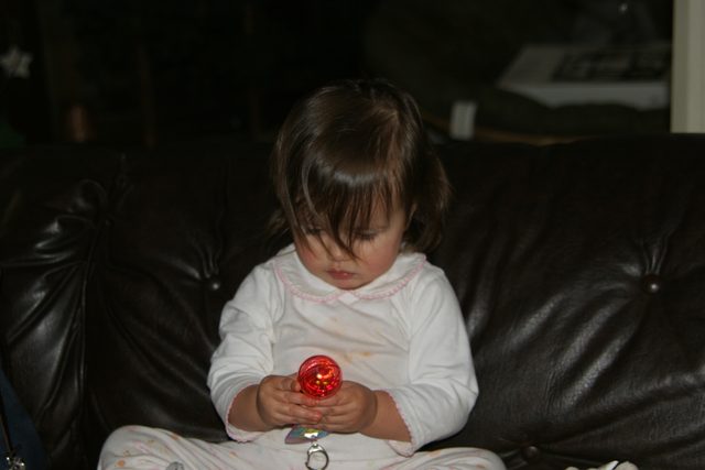 1 Year Old