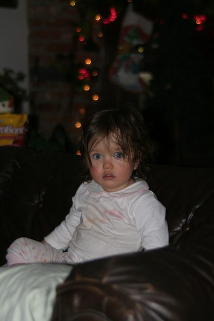 1 Year Old