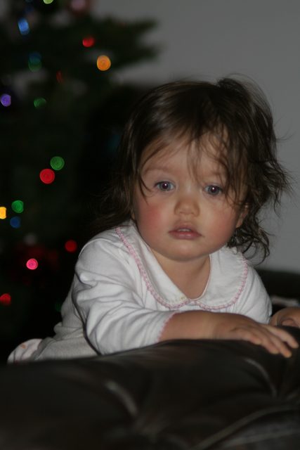 1 Year Old