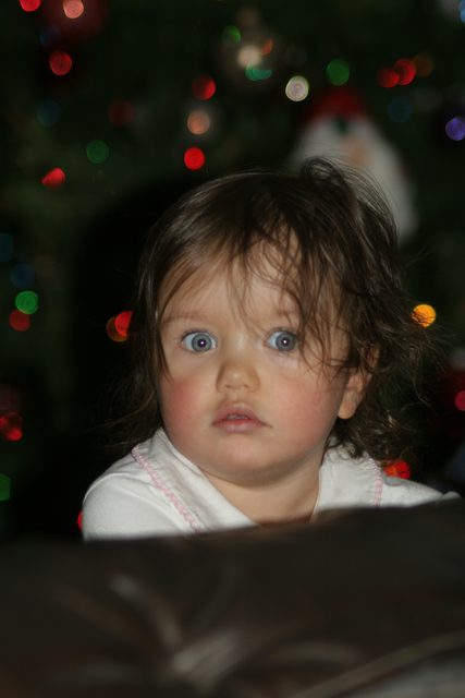 1 Year Old