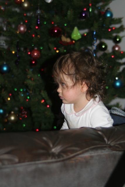 1 Year Old