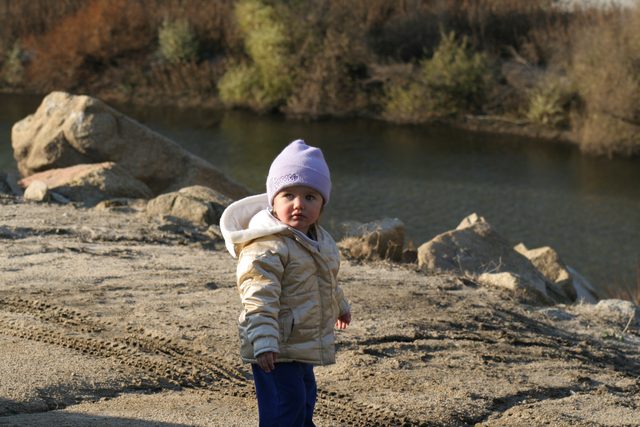1 Year Old