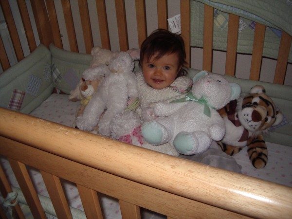 1 Year Old